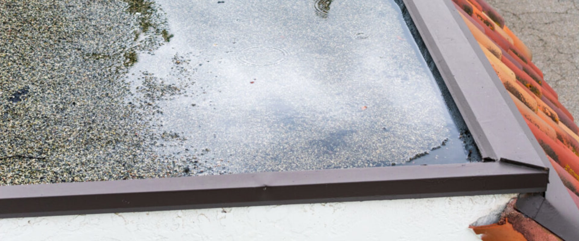 Why Moisture From Roofing Problems Can Make Home Cleaning More Difficult Over Time