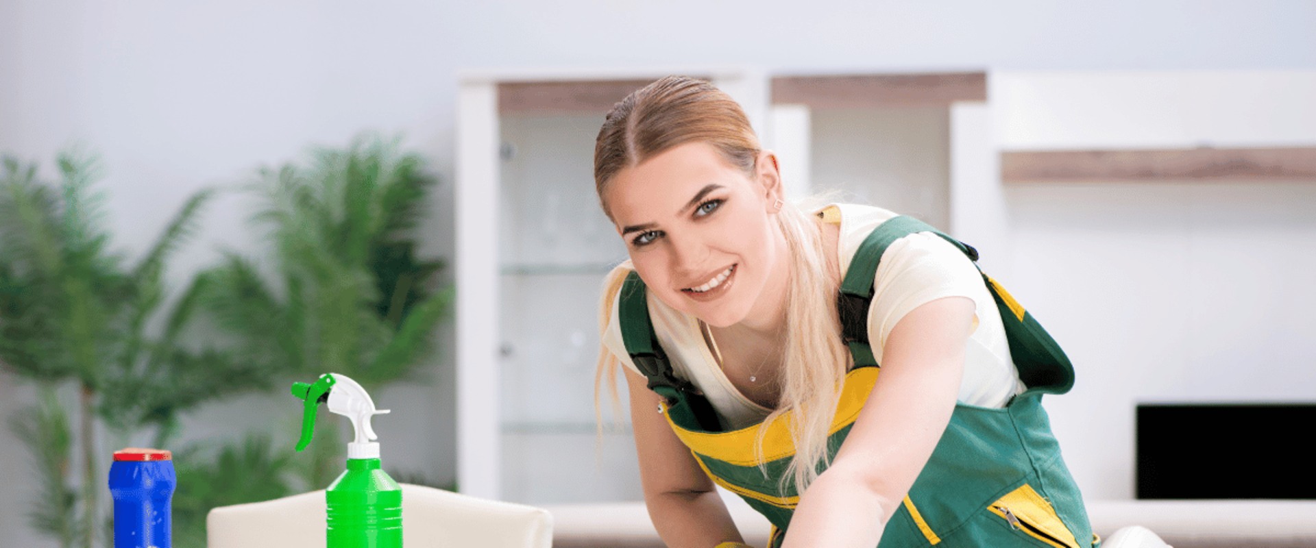 The Rise of On-Demand Cleaning Services