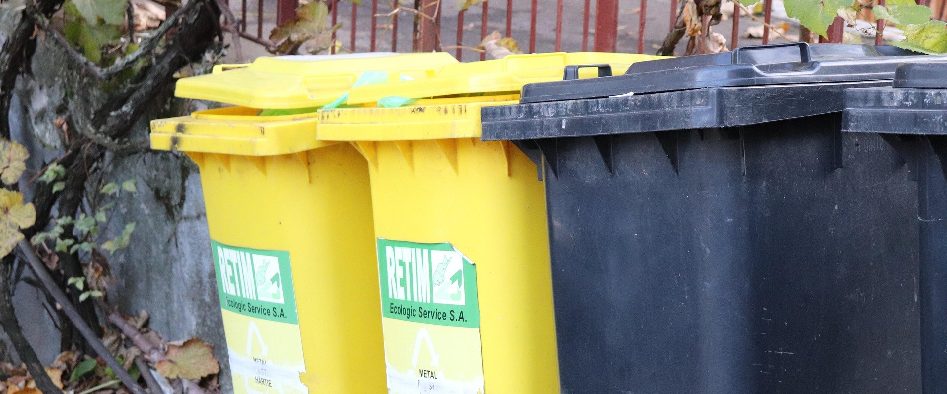 Maximize Your Home Cleanup with Dumpster Rentals in Worcester County: A Smart Companion to Maid Service