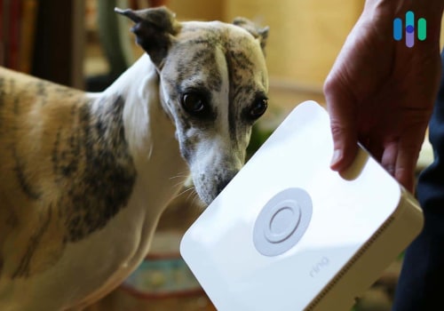 How Maid Services Adapt to Homes With Pets Without Disrupting Daily Life