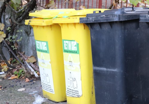 Maximize Your Home Cleanup with Dumpster Rentals in Worcester County: A Smart Companion to Maid Service